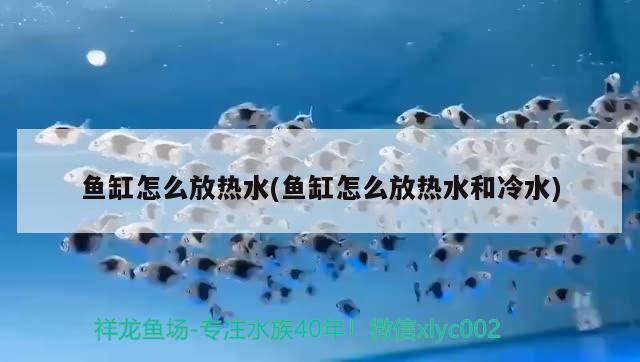 魚缸怎么放熱水(魚缸怎么放熱水和冷水)