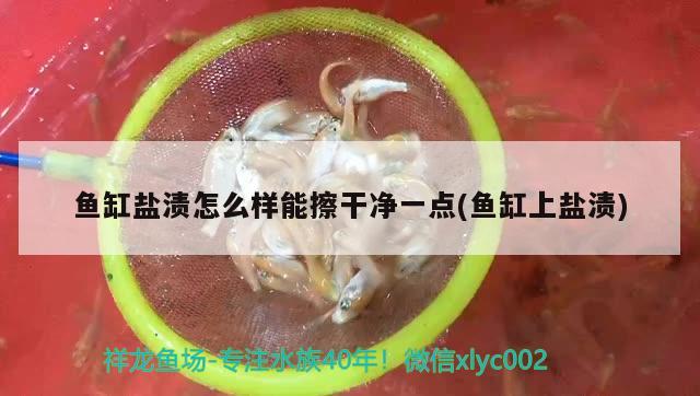 魚缸鹽漬怎么樣能擦干凈一點(魚缸上鹽漬)