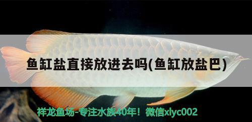 魚缸鹽直接放進(jìn)去嗎(魚缸放鹽巴)