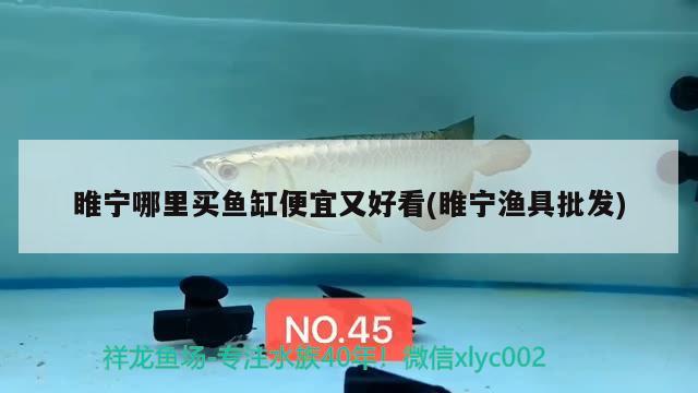 睢寧哪里買魚缸便宜又好看(睢寧漁具批發(fā))