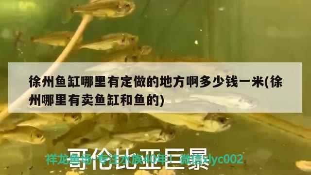 徐州魚缸哪里有定做的地方啊多少錢一米(徐州哪里有賣魚缸和魚的)