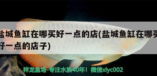 鹽城魚缸在哪買好一點的店(鹽城魚缸在哪買好一點的店子) 魚缸風(fēng)水