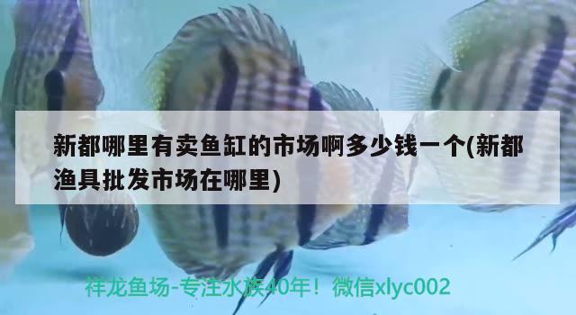 新都哪里有賣魚缸的市場啊多少錢一個(新都漁具批發(fā)市場在哪里)