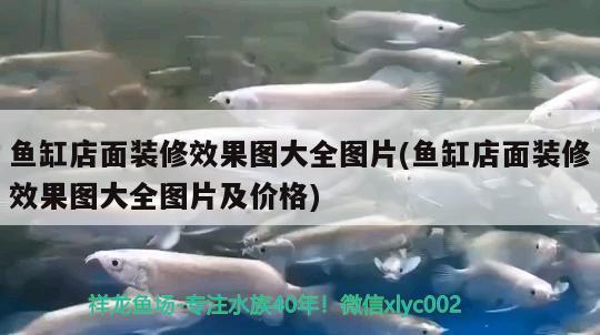 魚缸店面裝修效果圖大全圖片(魚缸店面裝修效果圖大全圖片及價格)