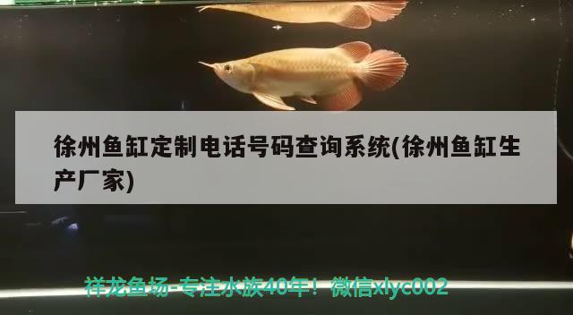 徐州魚缸定制電話號碼查詢系統(tǒng)(徐州魚缸生產(chǎn)廠家) 白子銀龍魚苗