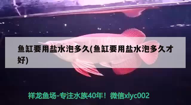 魚缸要用鹽水泡多久(魚缸要用鹽水泡多久才好)