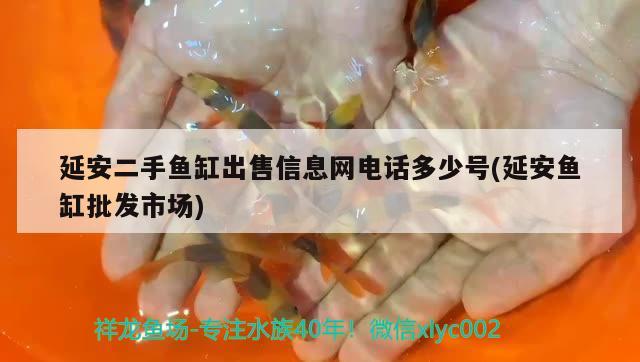 延安二手魚缸出售信息網(wǎng)電話多少號(延安魚缸批發(fā)市場)