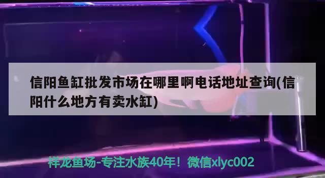 信陽魚缸批發(fā)市場在哪里啊電話地址查詢(信陽什么地方有賣水缸)