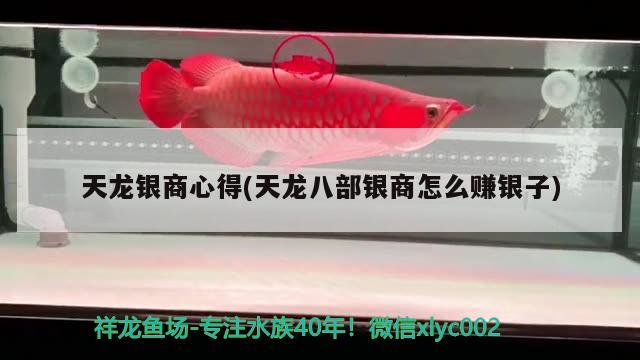 天龍銀商心得(天龍八部銀商怎么賺銀子) 觀賞魚