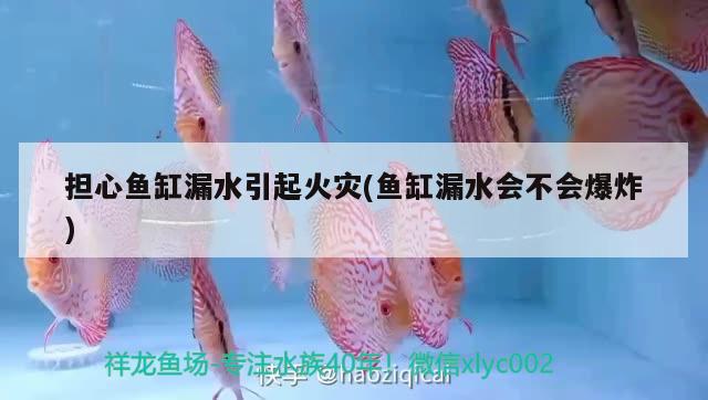 擔(dān)心魚缸漏水引起火災(zāi)(魚缸漏水會不會爆炸) 速倍妥魚糧魚藥