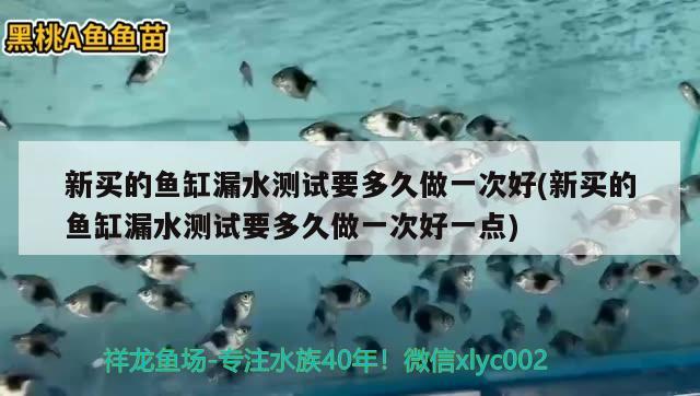 新買的魚缸漏水測(cè)試要多久做一次好(新買的魚缸漏水測(cè)試要多久做一次好一點(diǎn))