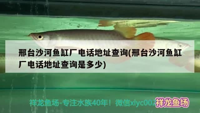 邢臺沙河魚缸廠電話地址查詢(邢臺沙河魚缸廠電話地址查詢是多少)