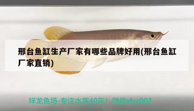 邢臺(tái)魚(yú)缸生產(chǎn)廠家有哪些品牌好用(邢臺(tái)魚(yú)缸廠家直銷)