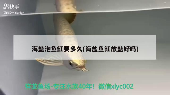 海鹽泡魚缸要多久(海鹽魚缸放鹽好嗎)