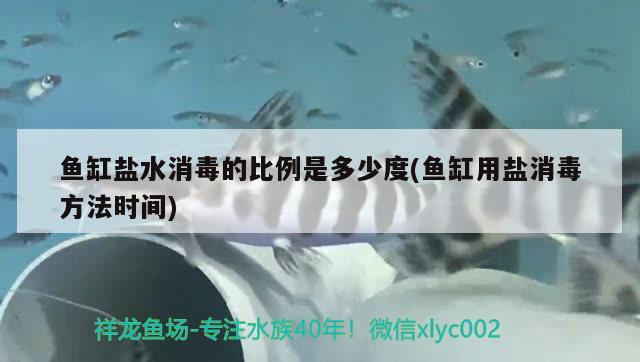 魚缸鹽水消毒的比例是多少度(魚缸用鹽消毒方法時間)