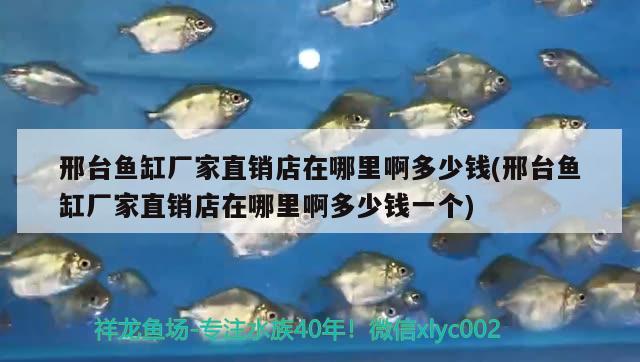 邢臺魚缸廠家直銷店在哪里啊多少錢(邢臺魚缸廠家直銷店在哪里啊多少錢一個) 三色錦鯉魚