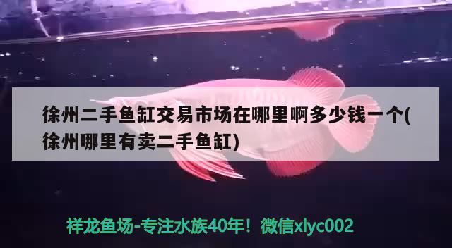 徐州二手魚缸交易市場在哪里啊多少錢一個(gè)(徐州哪里有賣二手魚缸) 水族世界