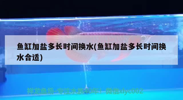 魚缸加鹽多長時間換水(魚缸加鹽多長時間換水合適) 觀賞魚飼料