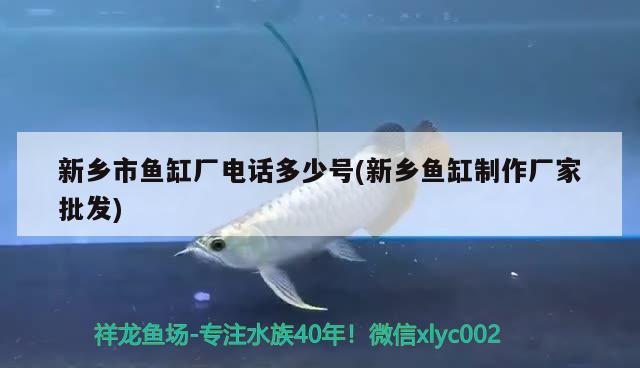 新鄉(xiāng)市魚缸廠電話多少號(新鄉(xiāng)魚缸制作廠家批發(fā))