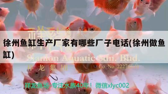 徐州魚缸生產(chǎn)廠家有哪些廠子電話(徐州做魚缸) 紅老虎魚