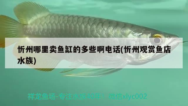 忻州哪里賣魚缸的多些啊電話(忻州觀賞魚店水族)