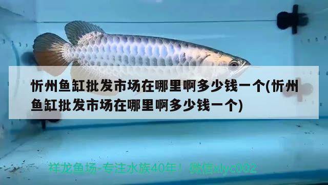 忻州魚(yú)缸批發(fā)市場(chǎng)在哪里啊多少錢一個(gè)(忻州魚(yú)缸批發(fā)市場(chǎng)在哪里啊多少錢一個(gè))