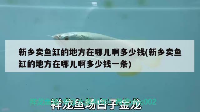 新鄉(xiāng)賣魚缸的地方在哪兒啊多少錢(新鄉(xiāng)賣魚缸的地方在哪兒啊多少錢一條) 照明器材 第2張