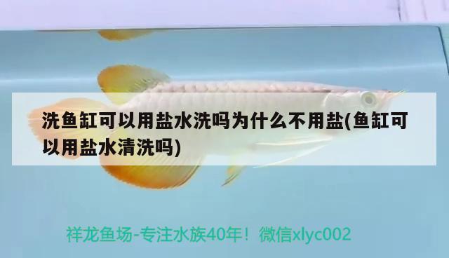 洗魚(yú)缸可以用鹽水洗嗎為什么不用鹽(魚(yú)缸可以用鹽水清洗嗎)