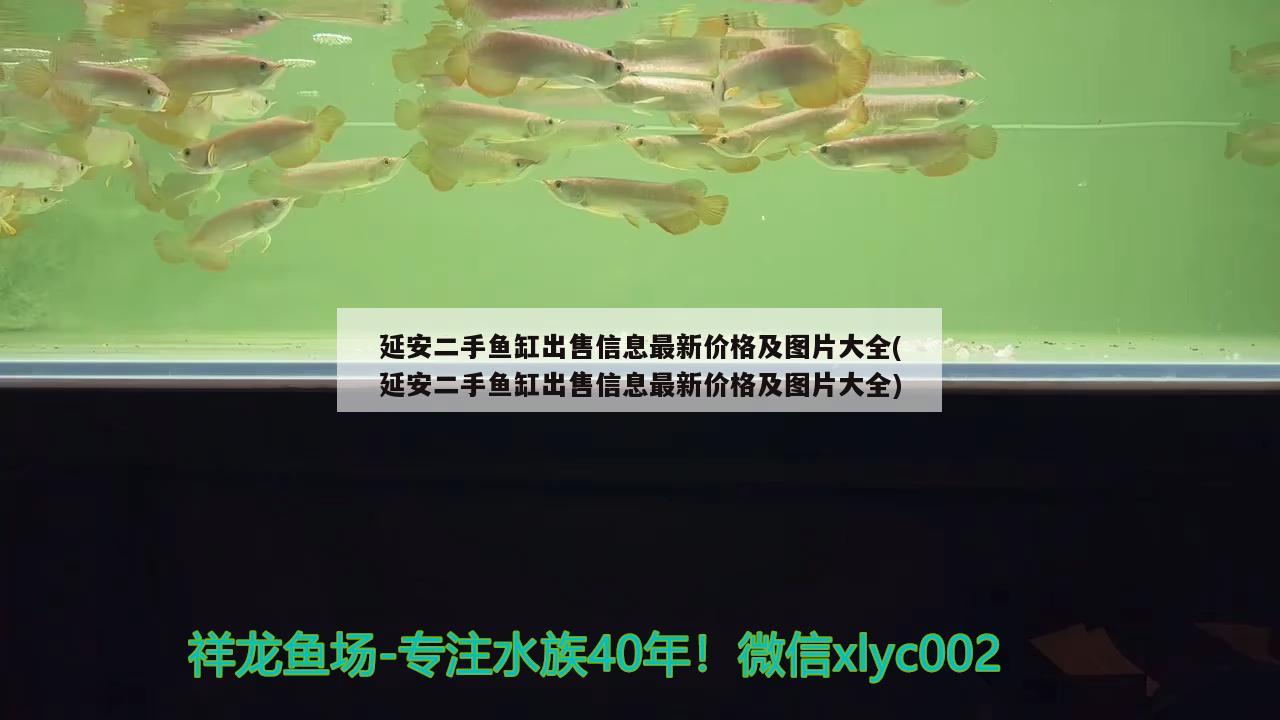 延安二手魚缸出售信息最新價(jià)格及圖片大全(延安二手魚缸出售信息最新價(jià)格及圖片大全)