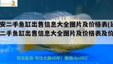 延安二手魚缸出售信息大全圖片及價(jià)格表(延安二手魚缸出售信息大全圖片及價(jià)格表及價(jià)格)