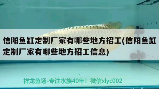 信陽(yáng)魚(yú)缸定制廠家有哪些地方招工(信陽(yáng)魚(yú)缸定制廠家有哪些地方招工信息) 白子紅龍魚(yú)