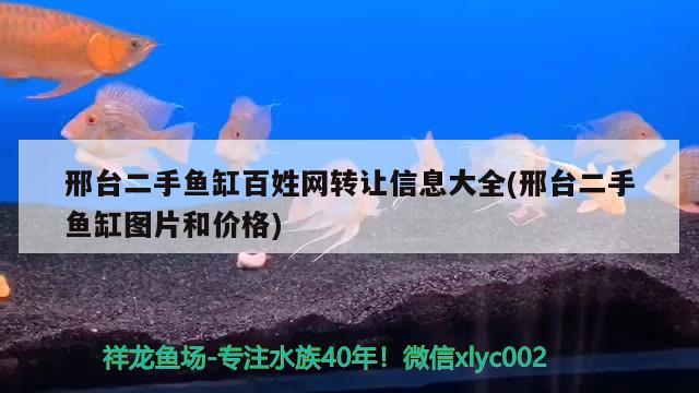 邢臺二手魚缸百姓網(wǎng)轉讓信息大全(邢臺二手魚缸圖片和價格) 豹紋夫魚苗