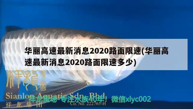 華麗高速最新消息2020路面限速(華麗高速最新消息2020路面限速多少) 觀賞魚(yú)