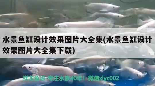 水景魚缸設(shè)計(jì)效果圖片大全集(水景魚缸設(shè)計(jì)效果圖片大全集下載)