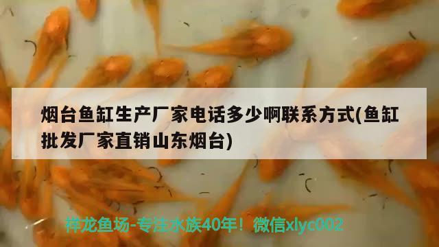 煙臺(tái)魚缸生產(chǎn)廠家電話多少啊聯(lián)系方式(魚缸批發(fā)廠家直銷山東煙臺(tái))