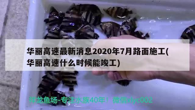 華麗高速最新消息2020年7月路面施工(華麗高速什么時候能竣工) 觀賞魚