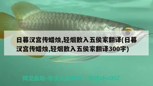 日暮漢宮傳蠟燭,輕煙散入五侯家翻譯(日暮漢宮傳蠟燭,輕煙散入五侯家翻譯300字)