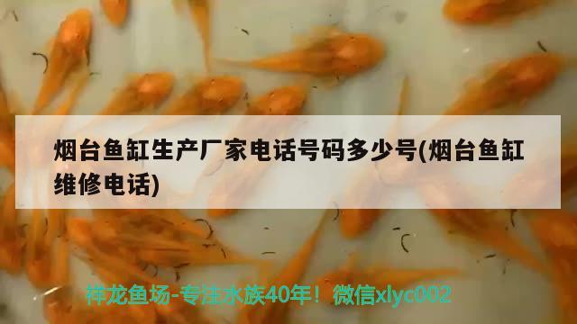 煙臺魚缸生產(chǎn)廠家電話號碼多少號(煙臺魚缸維修電話) 鸚鵡魚 第1張