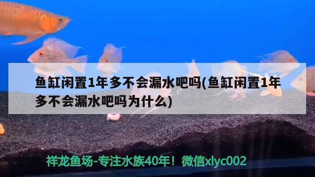 魚(yú)缸閑置1年多不會(huì)漏水吧嗎(魚(yú)缸閑置1年多不會(huì)漏水吧嗎為什么)