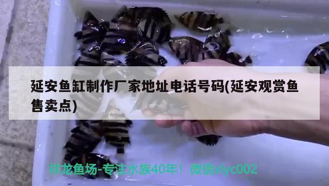 延安魚缸制作廠家地址電話號碼(延安觀賞魚售賣點)