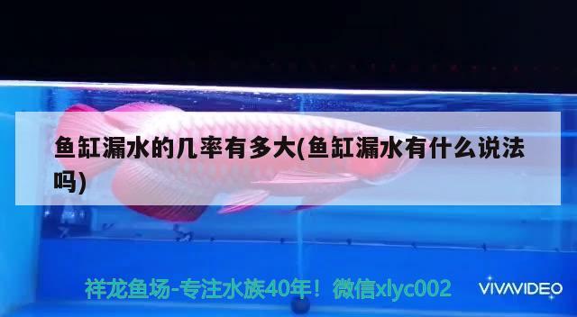 魚(yú)缸漏水的幾率有多大(魚(yú)缸漏水有什么說(shuō)法嗎)