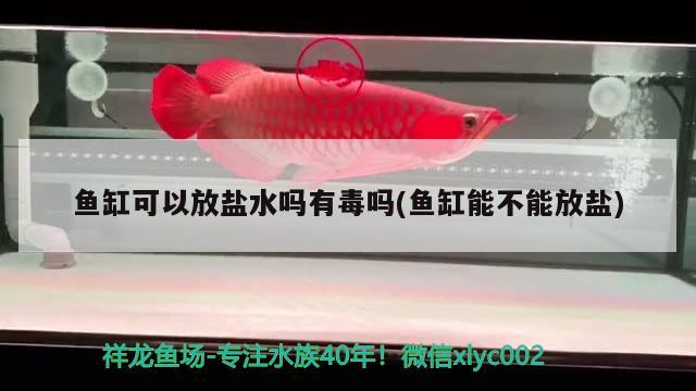 魚缸可以放鹽水嗎有毒嗎(魚缸能不能放鹽) 魚缸等水族設(shè)備