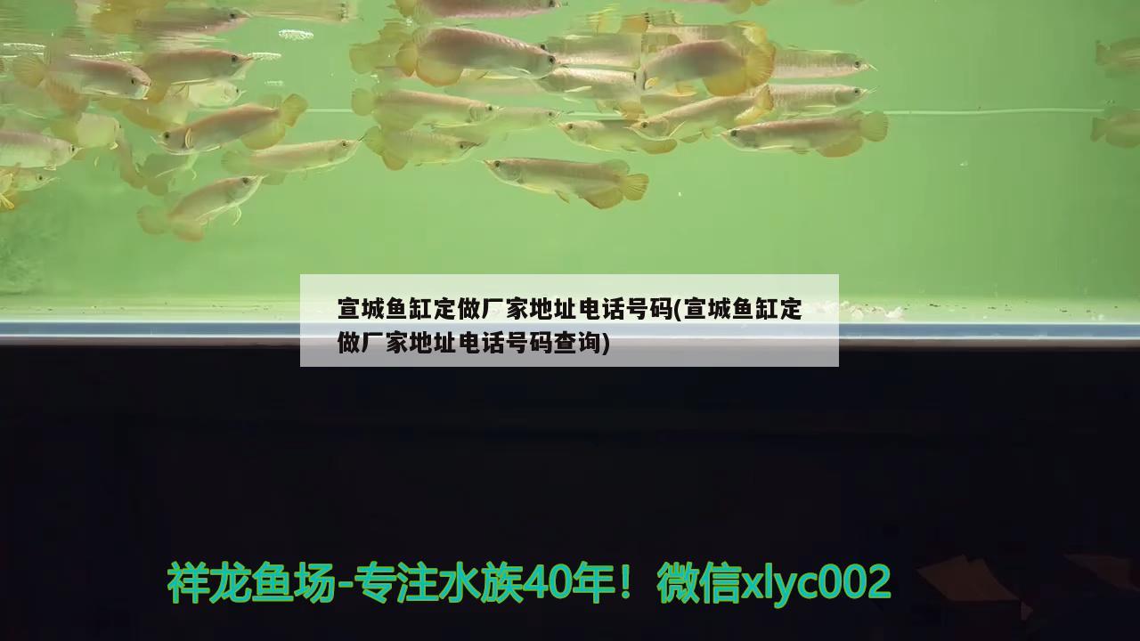 宣城魚(yú)缸定做廠家地址電話號(hào)碼(宣城魚(yú)缸定做廠家地址電話號(hào)碼查詢) 鐵甲武士