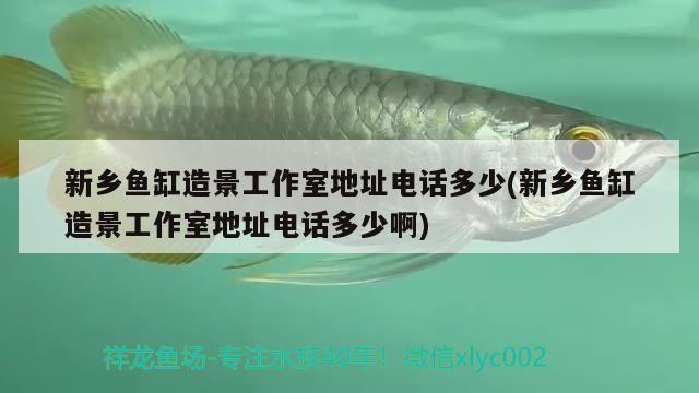 新鄉(xiāng)魚缸造景工作室地址電話多少(新鄉(xiāng)魚缸造景工作室地址電話多少啊) 撒旦鴨嘴魚