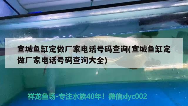 宣城魚缸定做廠家電話號(hào)碼查詢(宣城魚缸定做廠家電話號(hào)碼查詢大全) 其他品牌魚缸