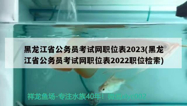 黑龍江省公務(wù)員考試網(wǎng)職位表2023(黑龍江省公務(wù)員考試網(wǎng)職位表2022職位檢索)