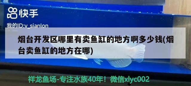 煙臺開發(fā)區(qū)哪里有賣魚缸的地方啊多少錢(煙臺賣魚缸的地方在哪) 月光鴨嘴魚