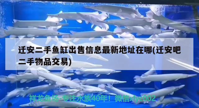 遷安二手魚(yú)缸出售信息最新地址在哪(遷安吧二手物品交易) 委內(nèi)瑞拉奧里諾三間魚(yú)