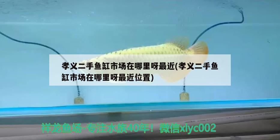 孝義二手魚(yú)缸市場(chǎng)在哪里呀最近(孝義二手魚(yú)缸市場(chǎng)在哪里呀最近位置)