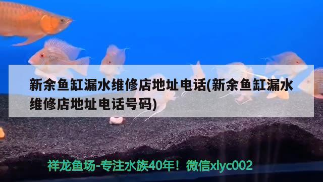 新余魚缸漏水維修店地址電話(新余魚缸漏水維修店地址電話號(hào)碼) 養(yǎng)魚的好處 第1張